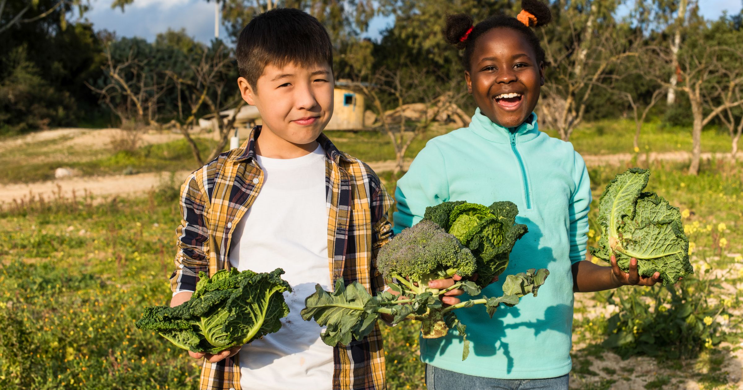 Plantando valores: beneficios de los Huertos Escolares