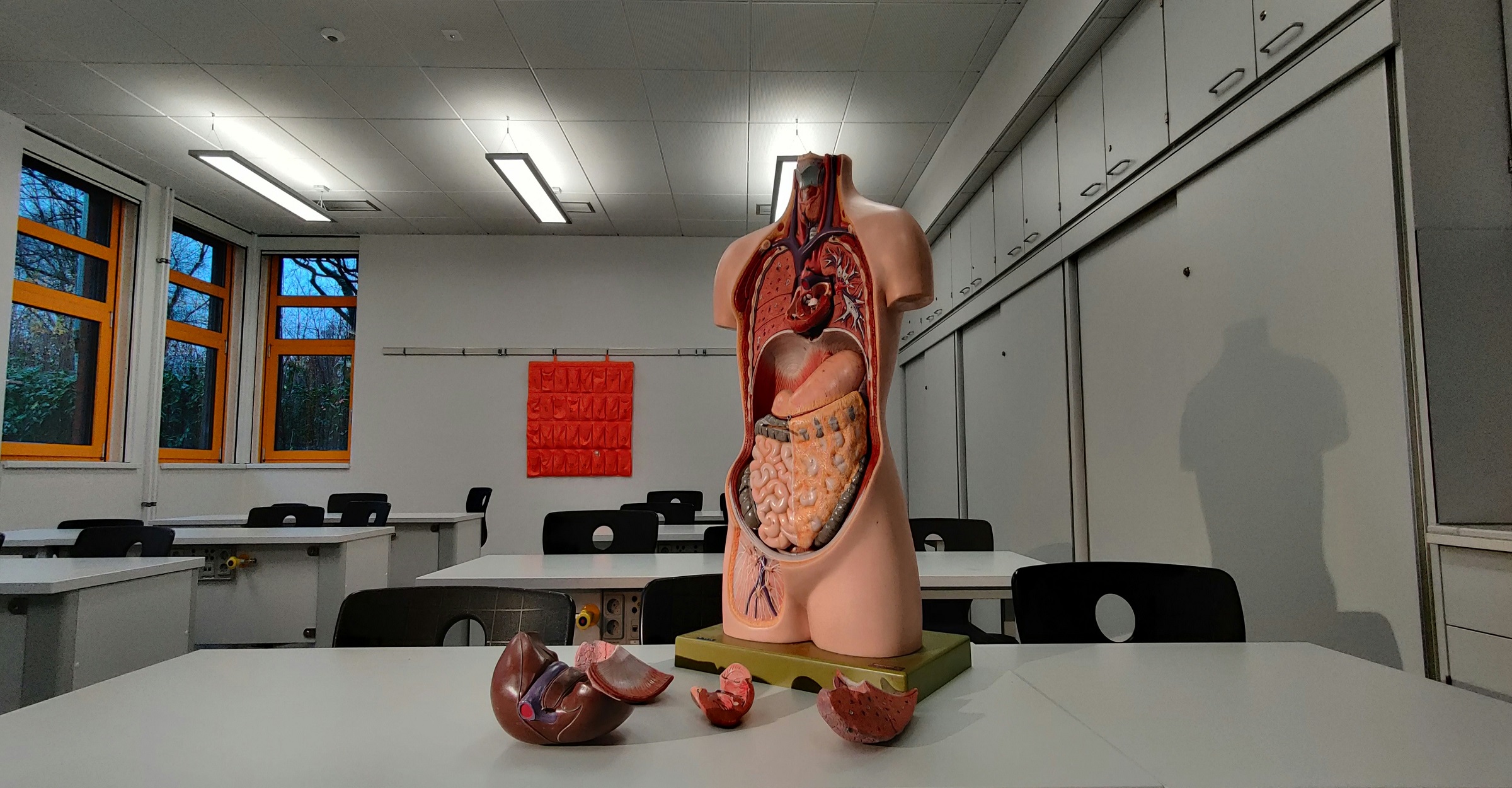 Los beneficios del rincón de ciencias en el aula de Infantil