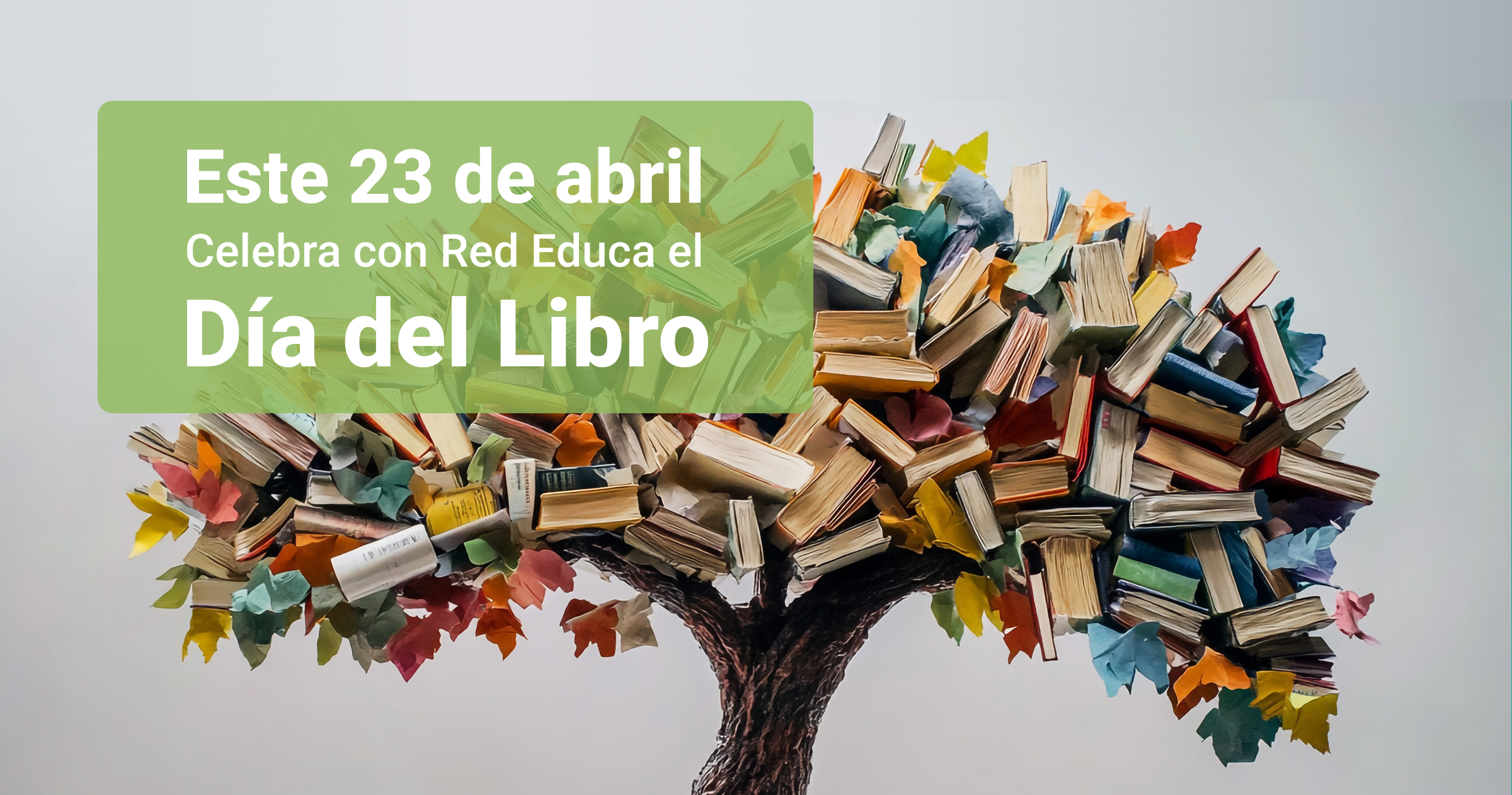 ¡Leer para volar: Red Educa celebra el Día del Libro!
