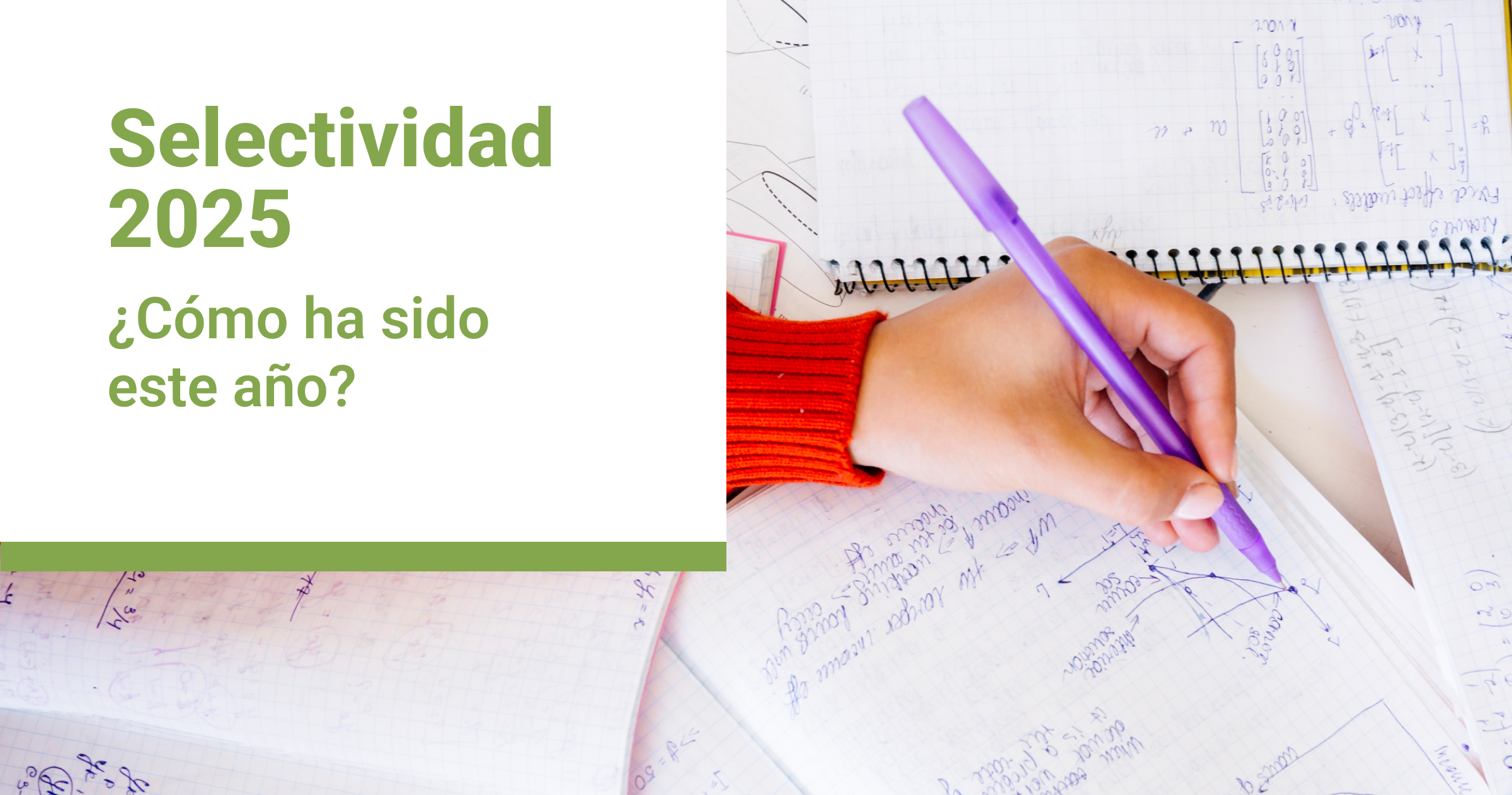 Notas selectividad 2025