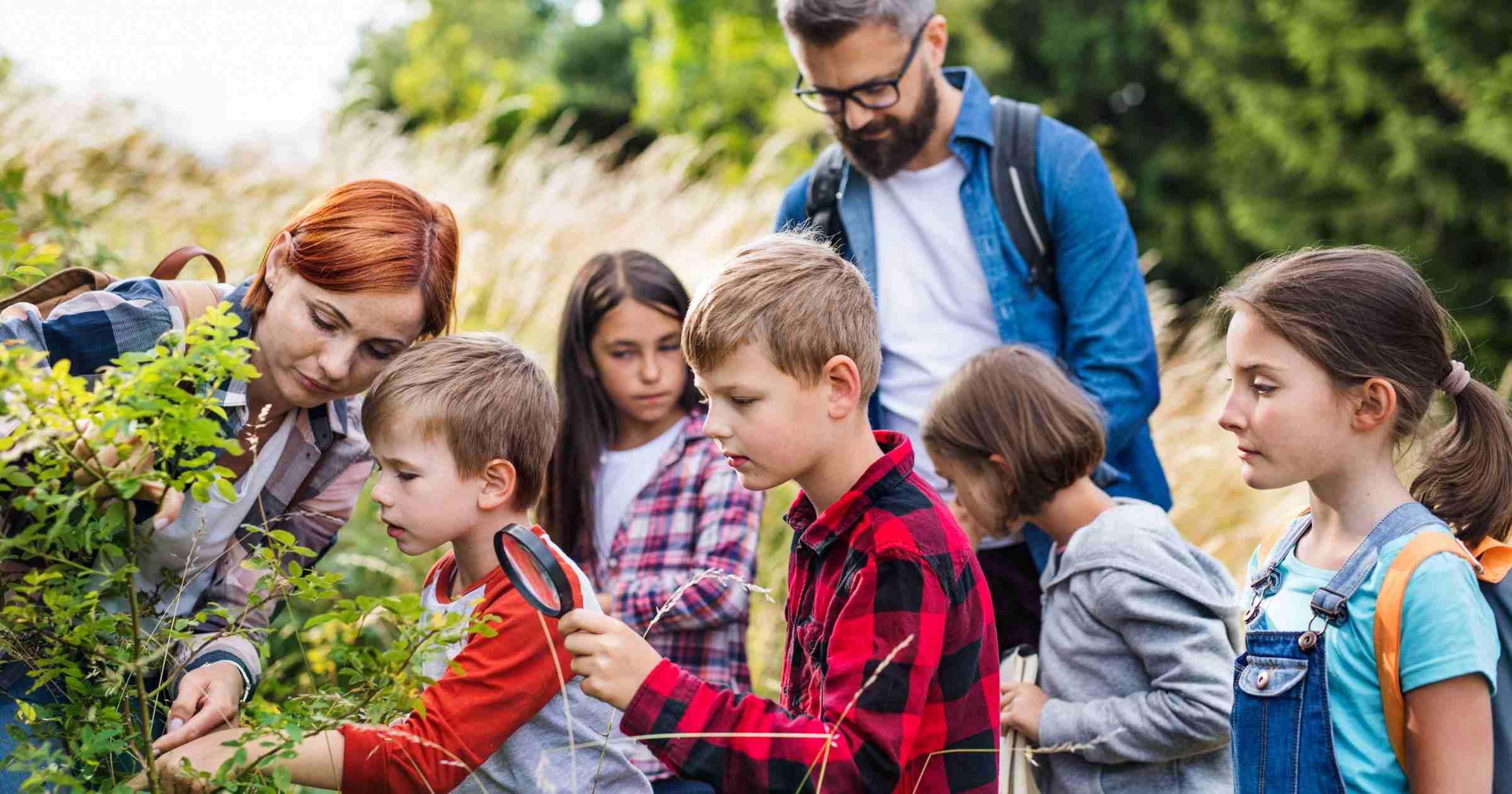 Conoce las escuelas bosque: el aprendizaje al aire libre