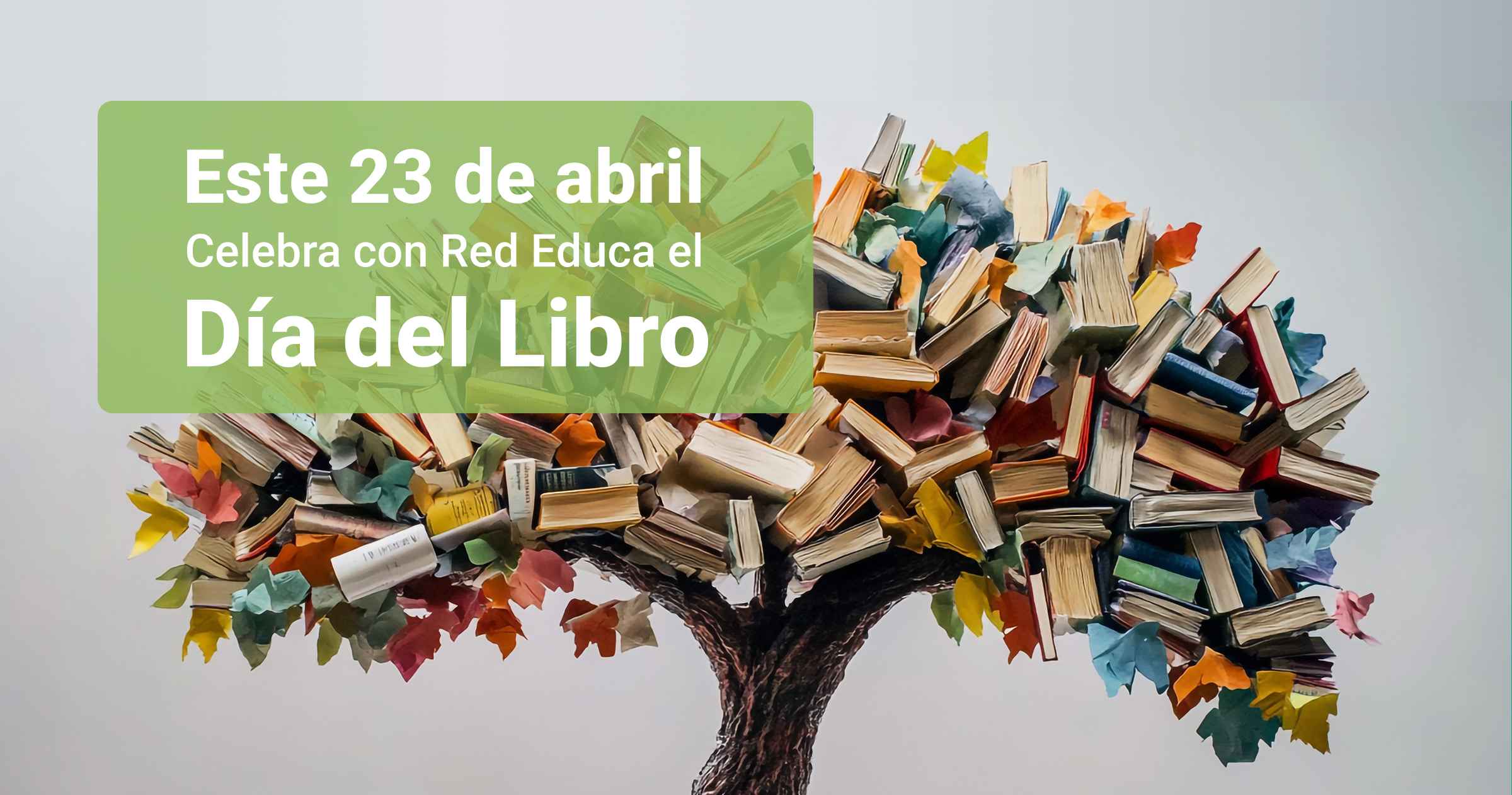¡Leer para volar: Red Educa celebra el Día del Libro!