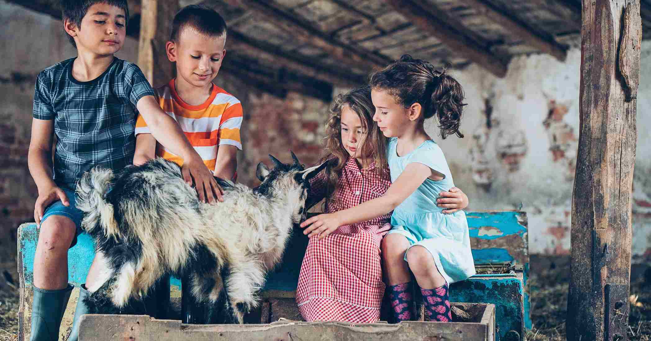 La granja escuela y su espacio de múltiples enseñanzas