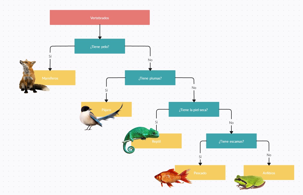 Ejemplo de infografía hecha con creately