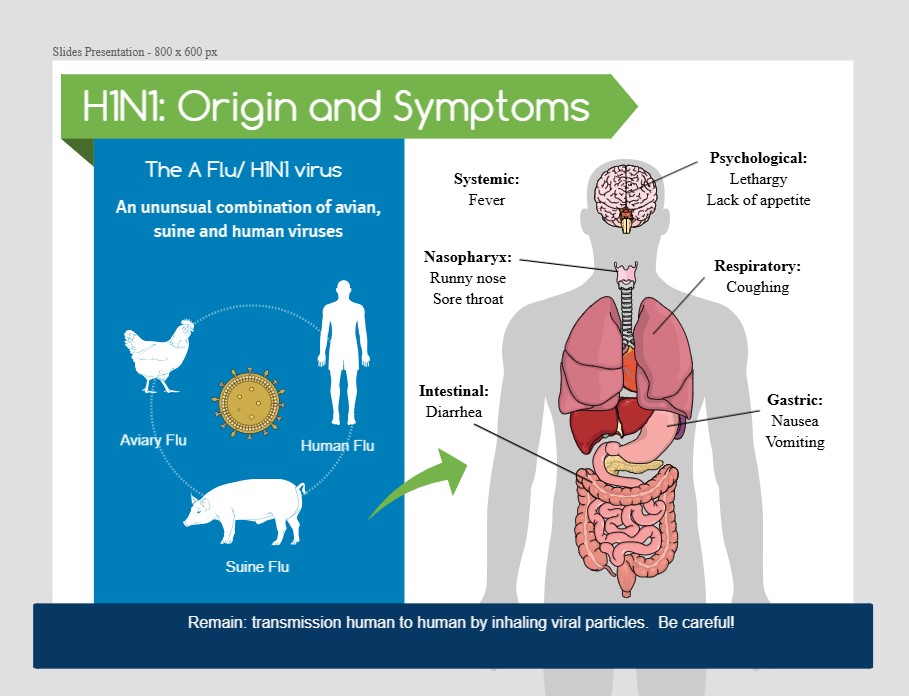 Ejemplo de infografía con mind the graph para una clase de biología
